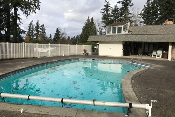 pool unclean real estate