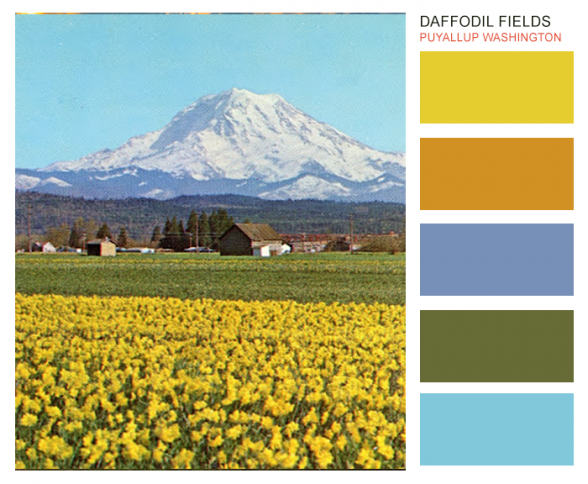 Palettes of Place: the Pacific Northwest