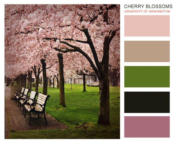10 pastel color palettes - Steph Corrigan Design