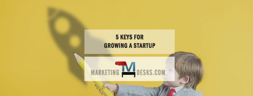 5 Keys for Growing a Startup in a Startup-Heavy World