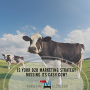 Are Your B2B Marketing Strategies Missing the Cash Cow?