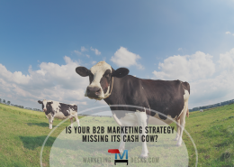 Are Your B2B Marketing Strategies Missing the Cash Cow?
