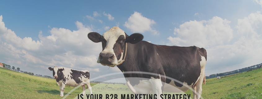 Are Your B2B Marketing Strategies Missing the Cash Cow?