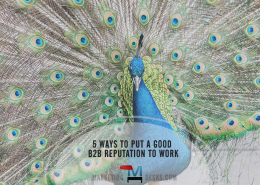 5 Ways to Put Your Good B2B Reputation to Work